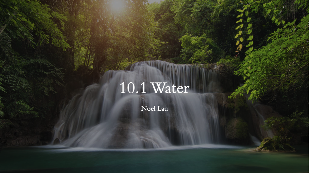 10.1