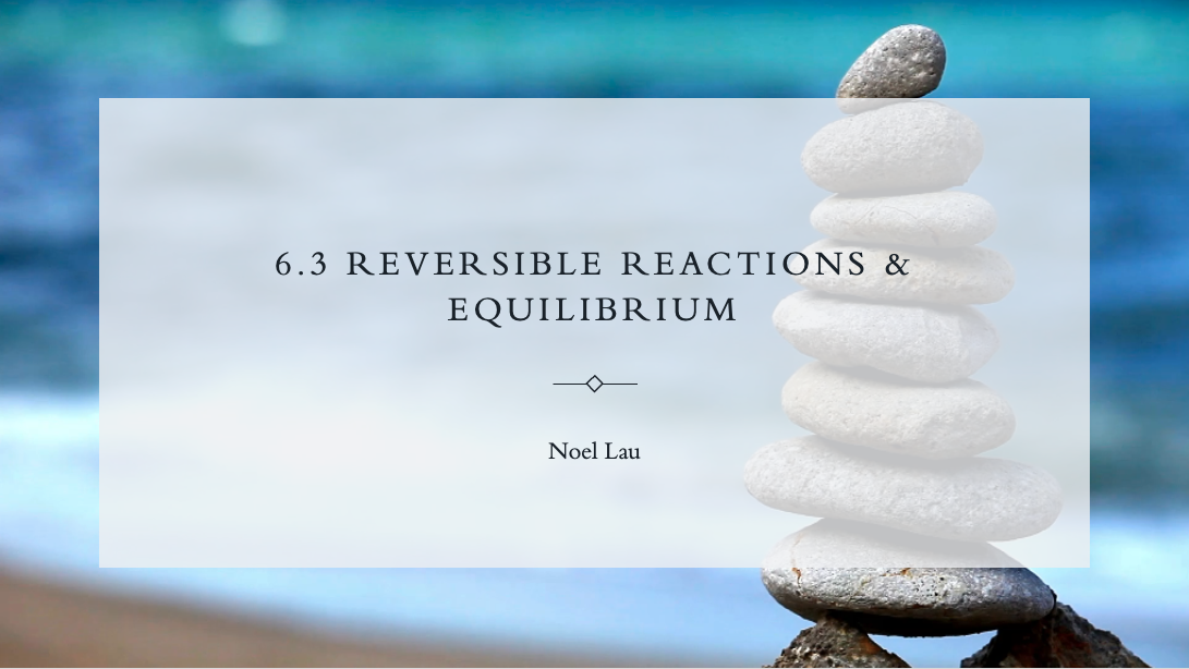 6.3 Equilibrium