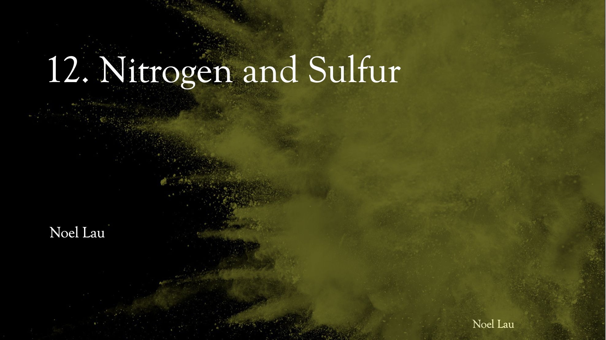 12.0 Nitrogen & Sulfur