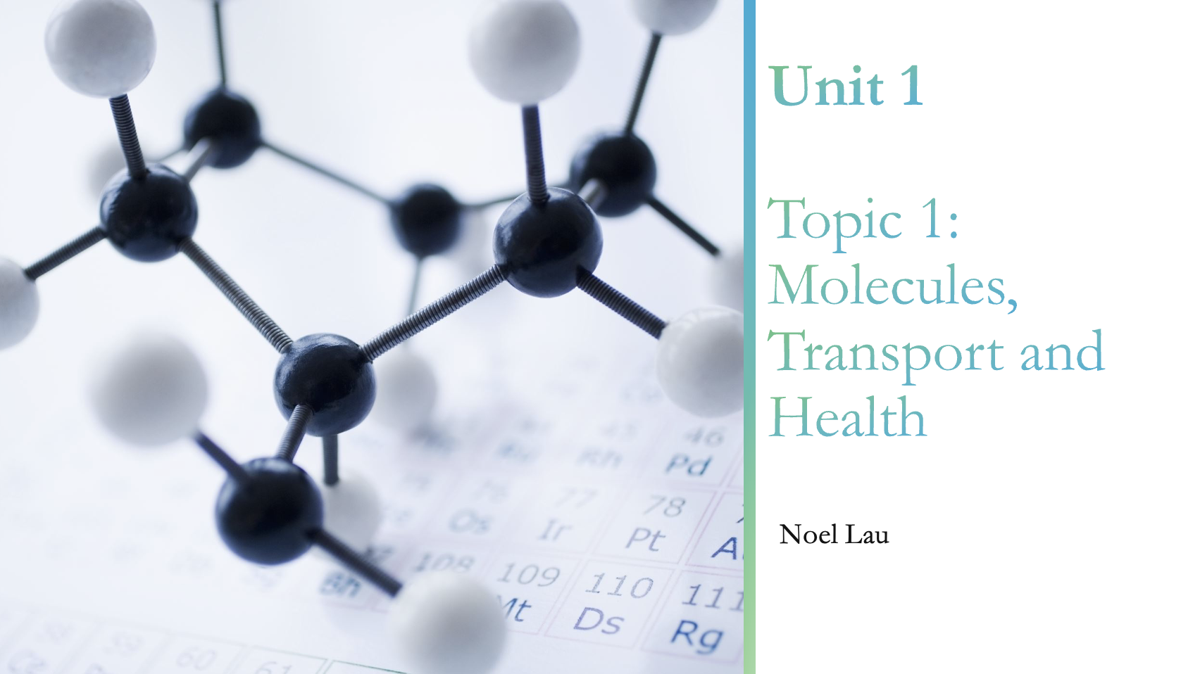 1.0 Molecules Diet Transport Health