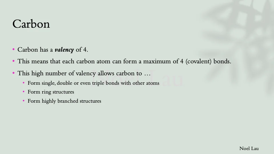 Slide 10