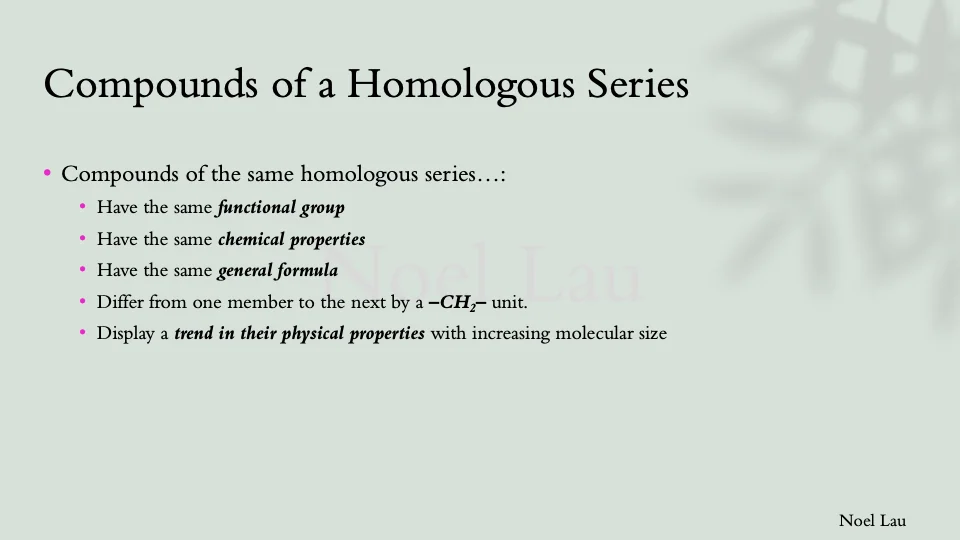 Slide 13