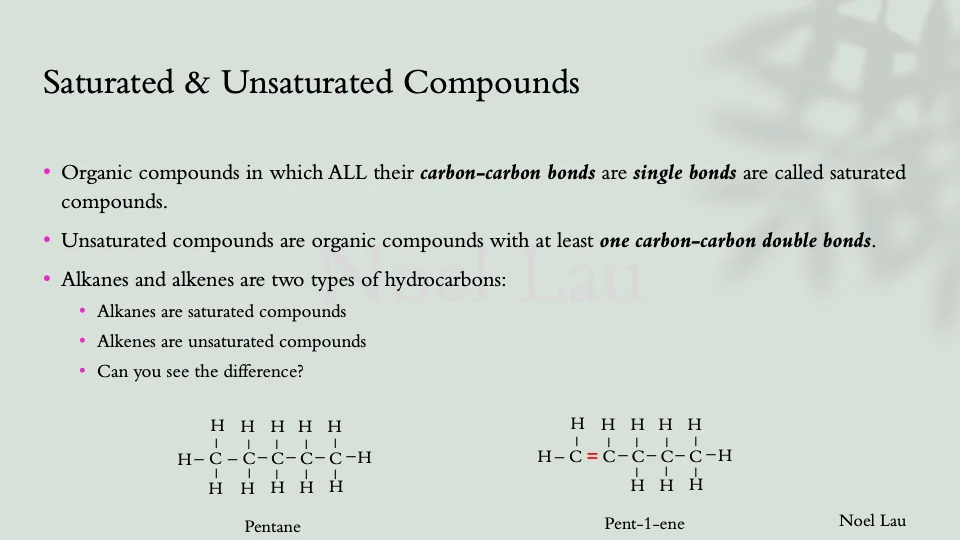 Slide 19