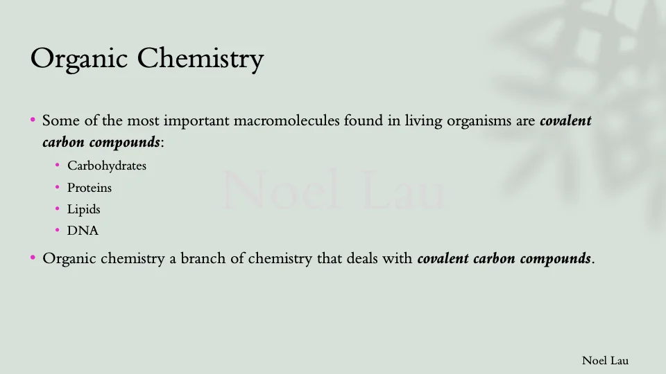 Slide 8