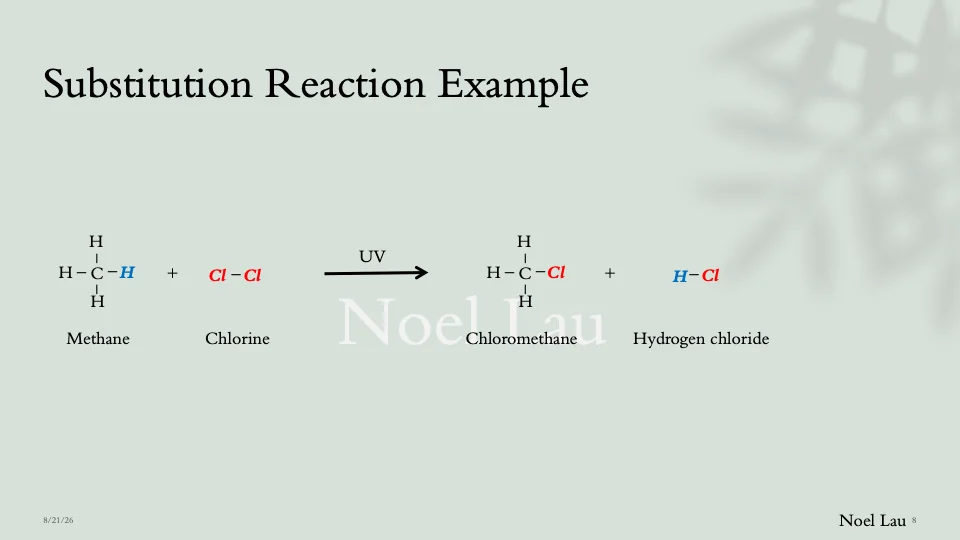 Slide 8