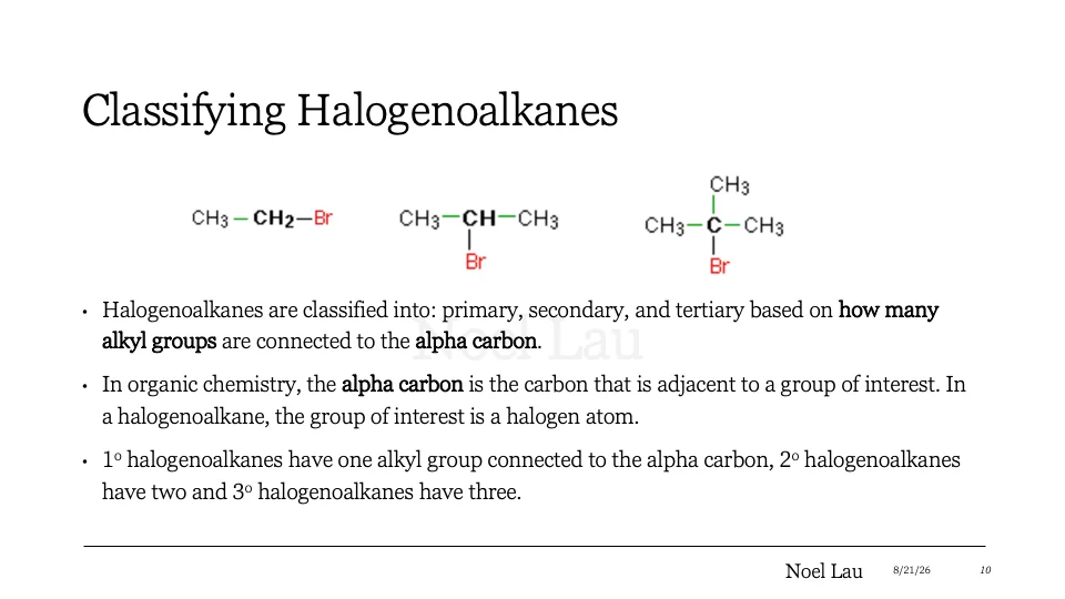 Slide 10