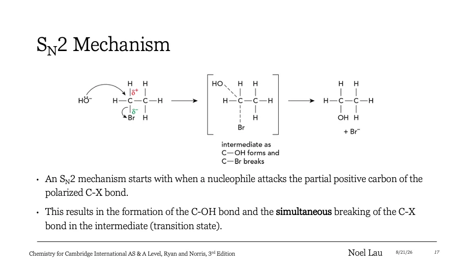 Slide 17