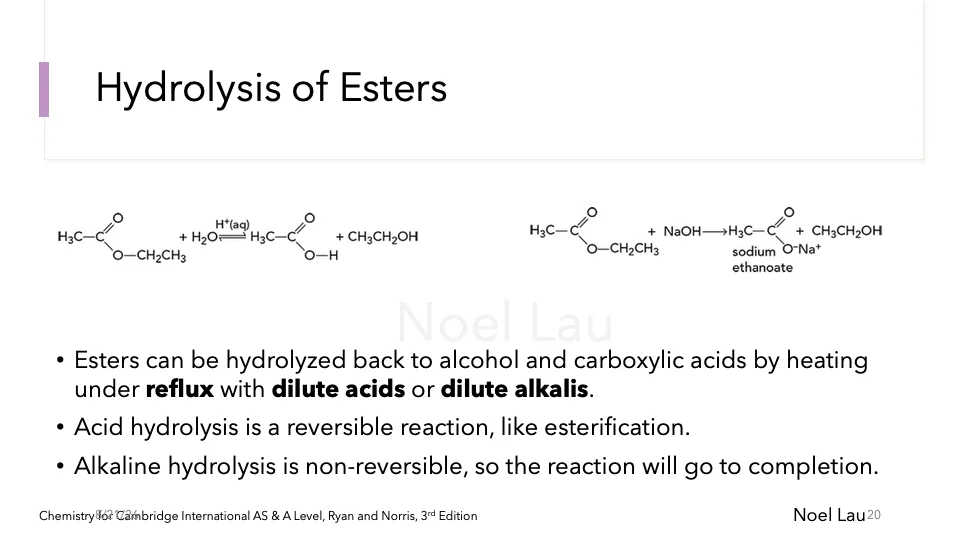 Slide 20