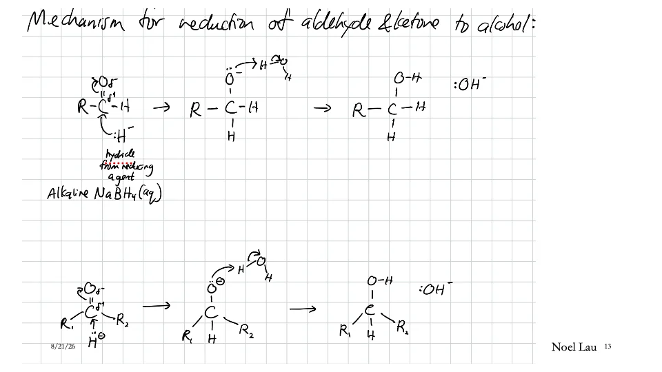 Slide 13