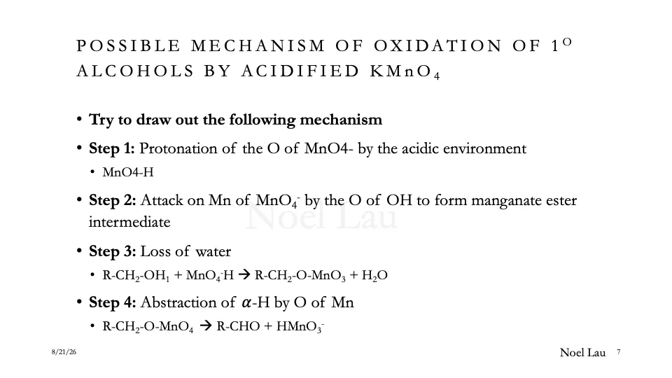 Slide 7
