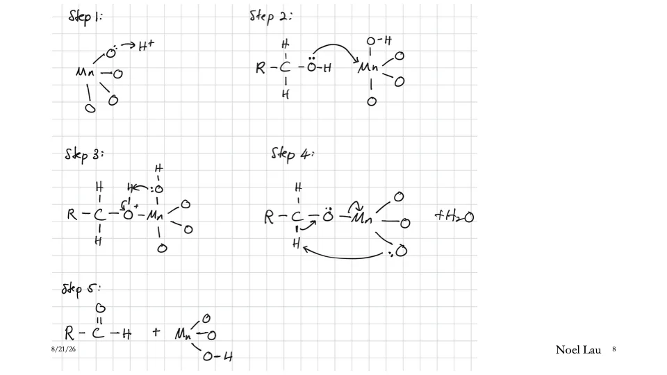 Slide 8