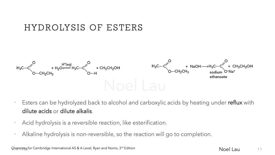 Slide 11