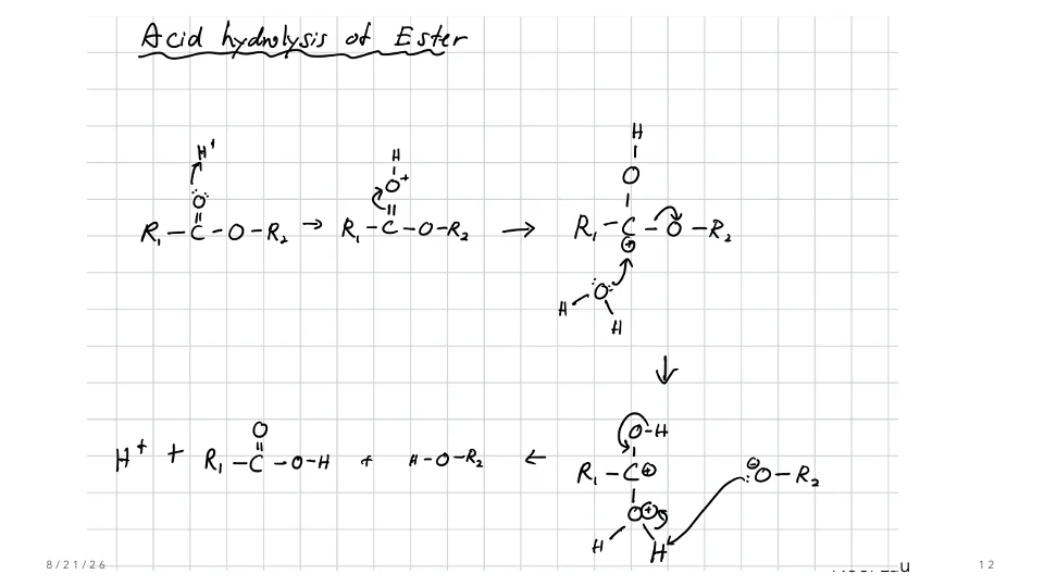 Slide 12