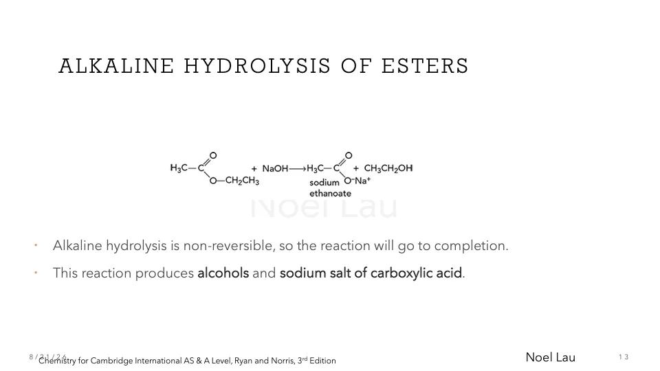 Slide 13