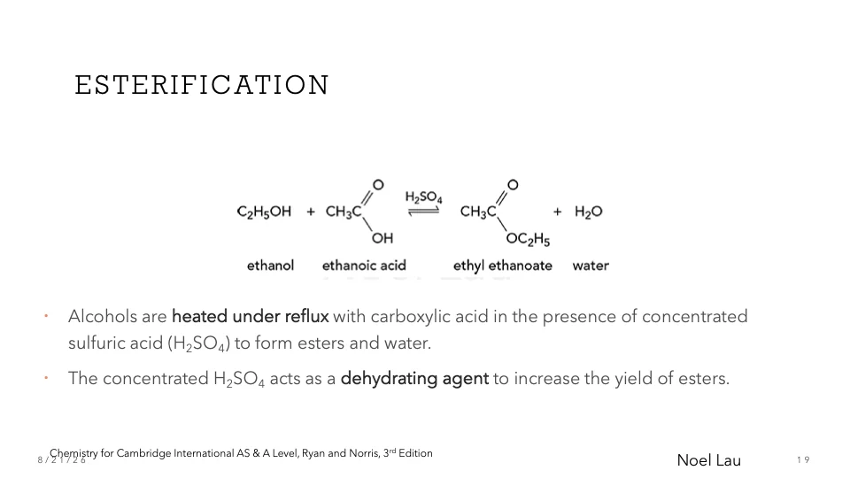 Slide 19