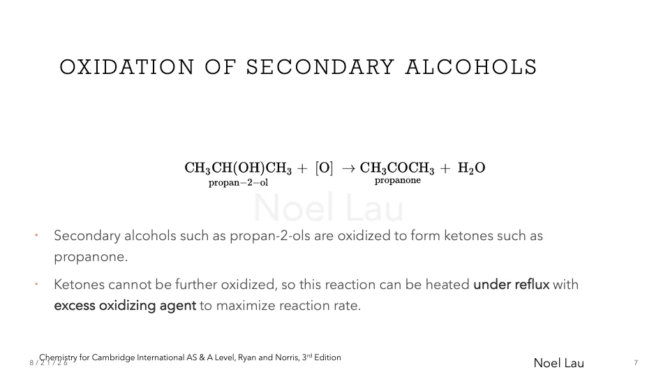 Slide 7