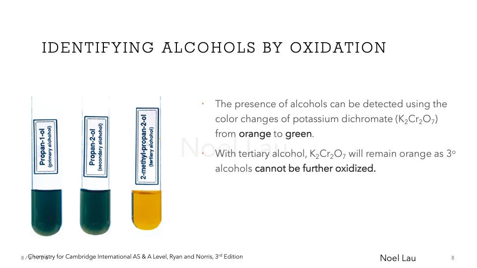 Slide 8