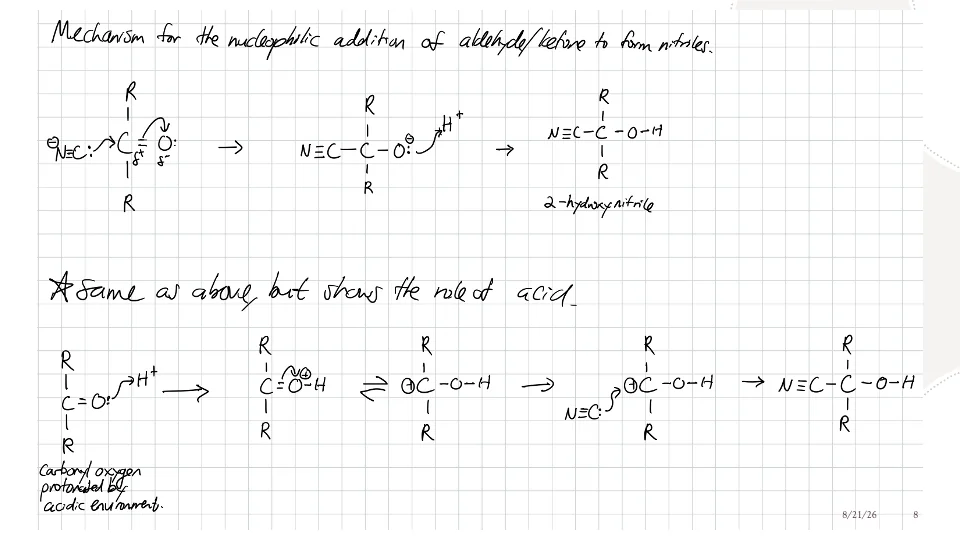 Slide 8