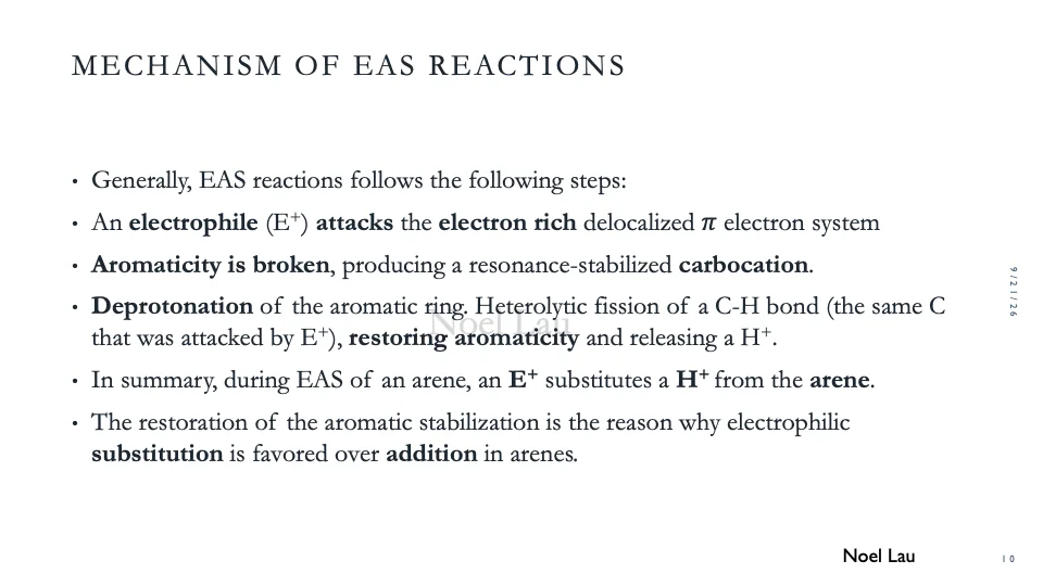 Slide 10