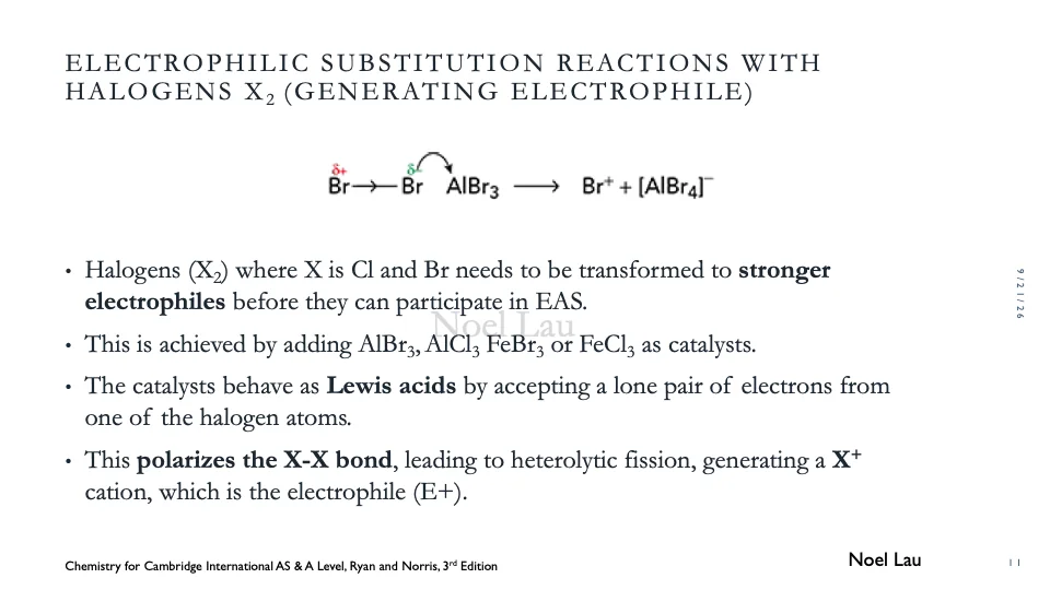 Slide 11