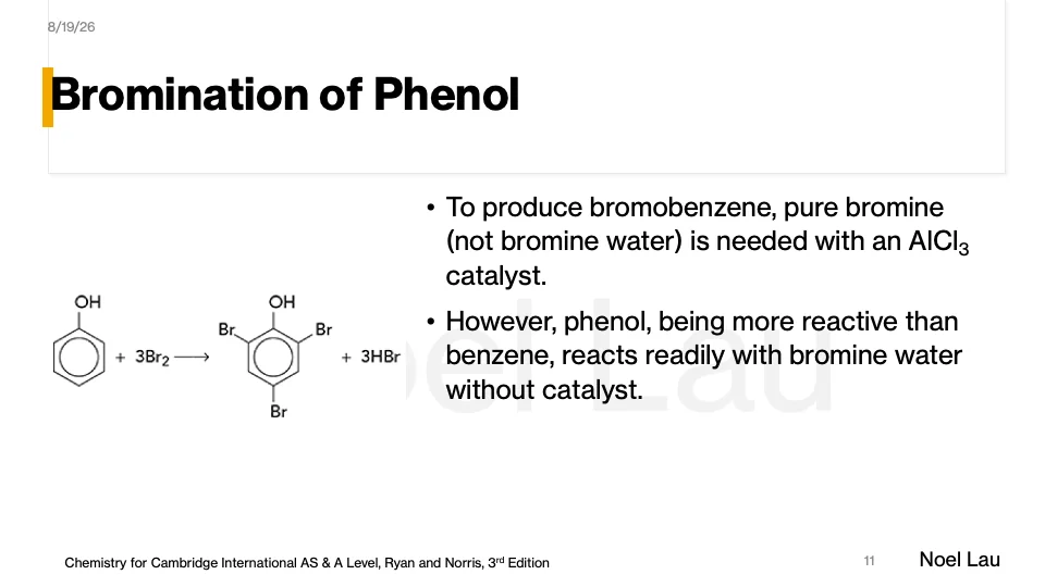Slide 11