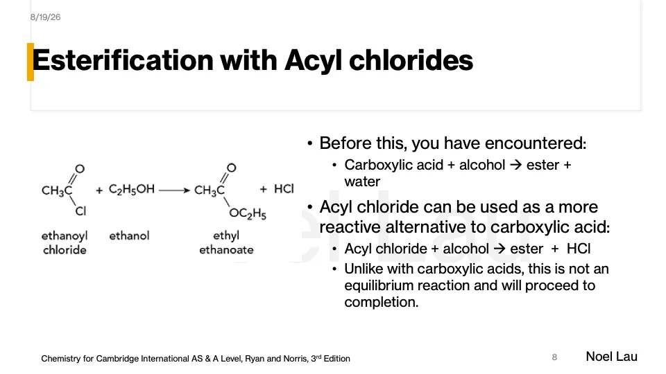 Slide 8