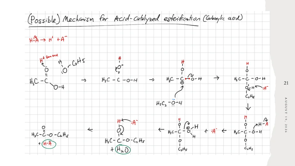 Slide 21