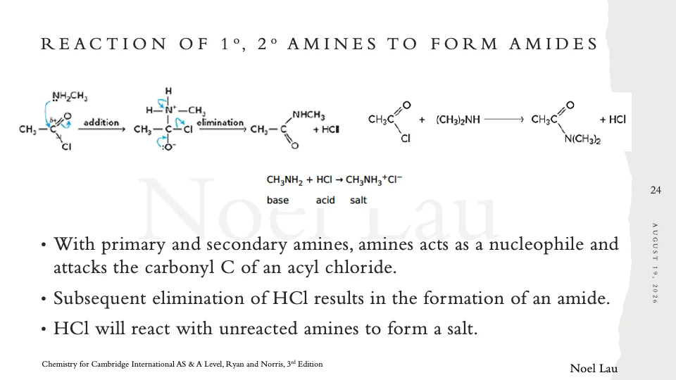 Slide 24