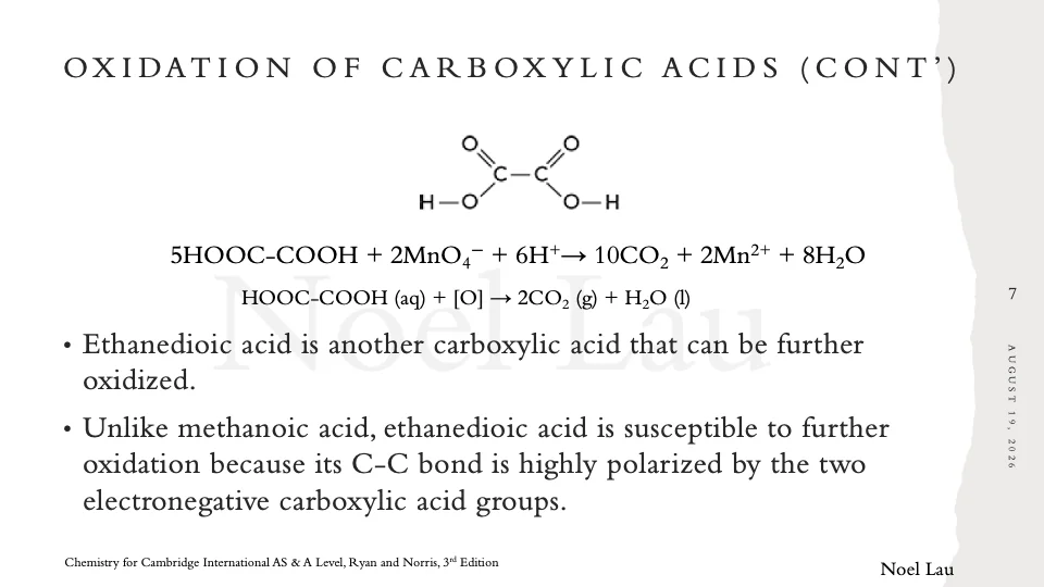 Slide 7