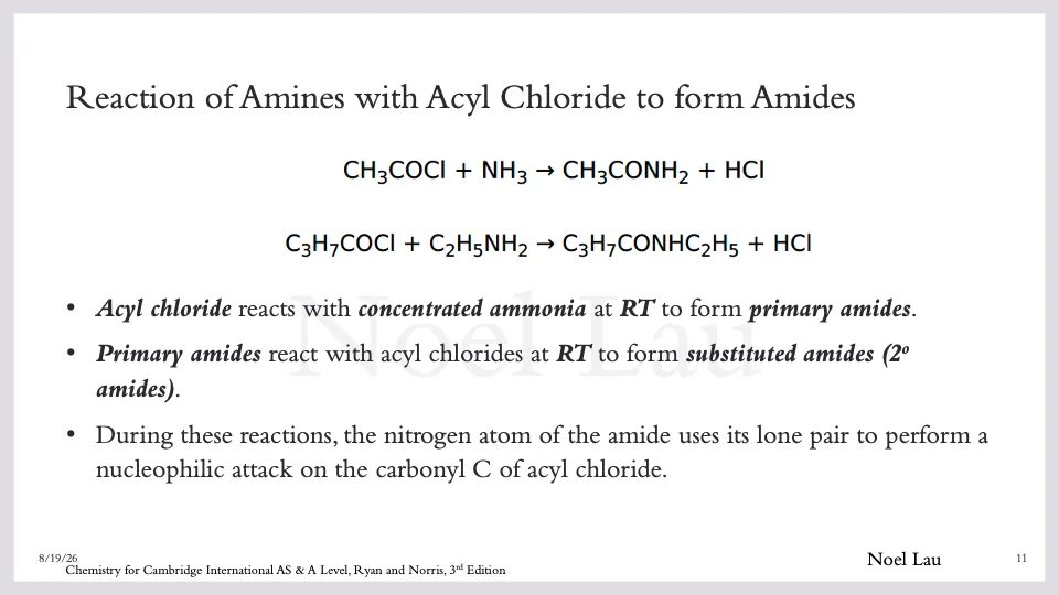 Slide 11