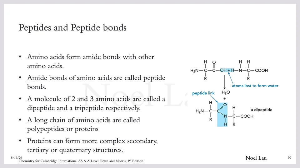 Slide 30