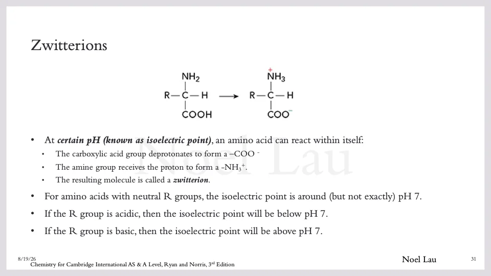 Slide 31