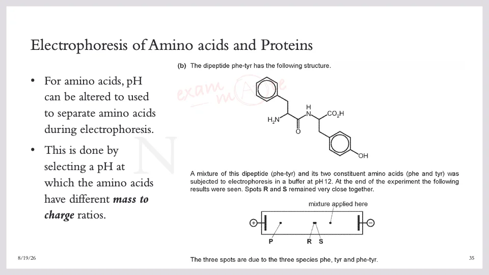 Slide 35