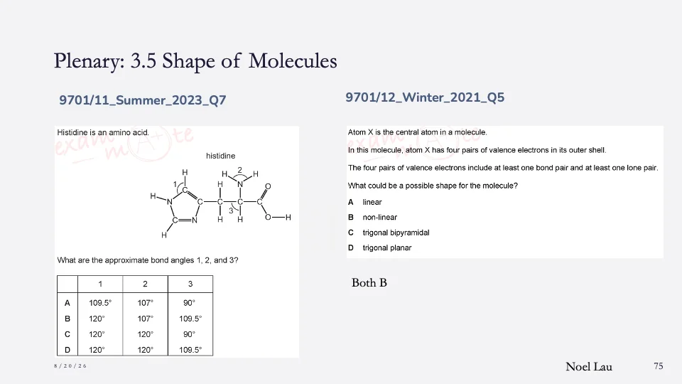 Slide 75