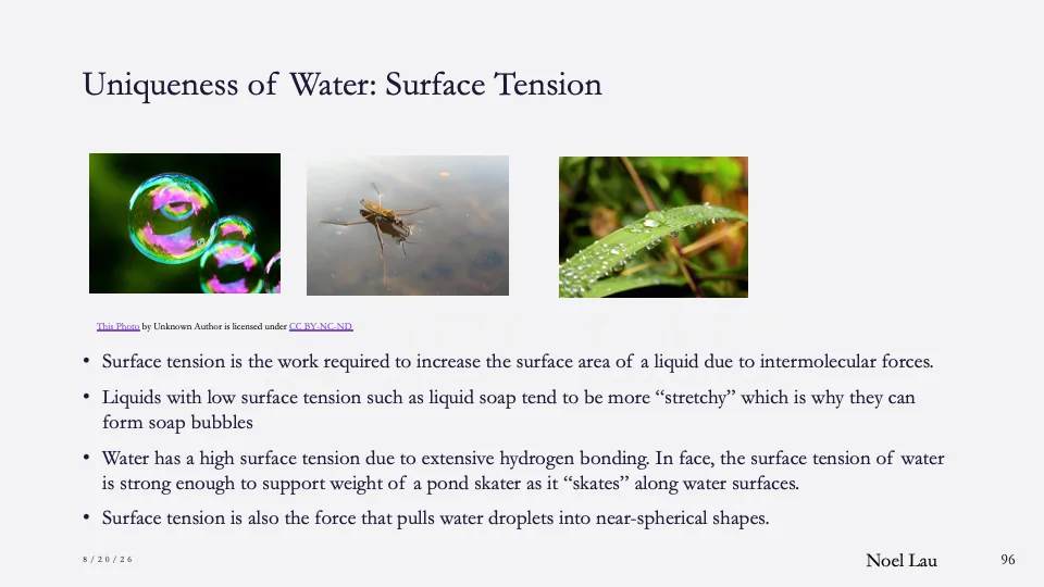 Slide 96