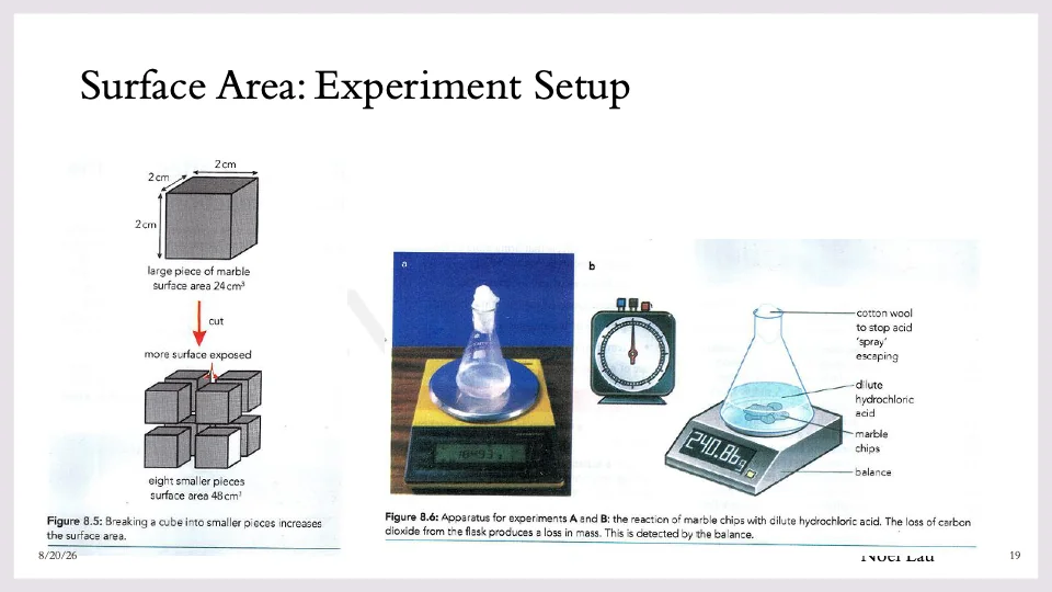 Slide 19