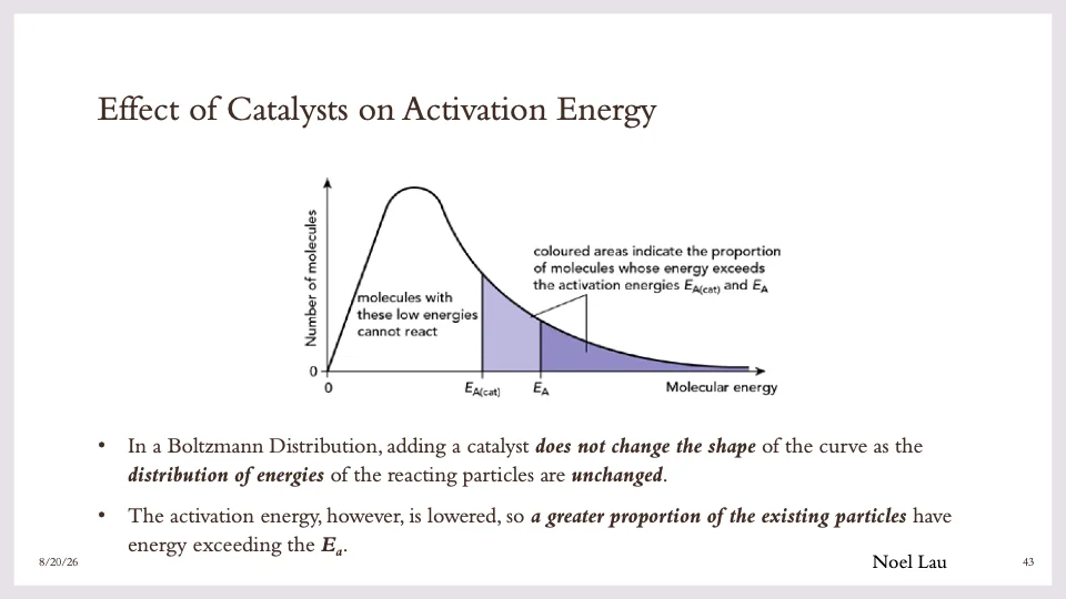 Slide 43