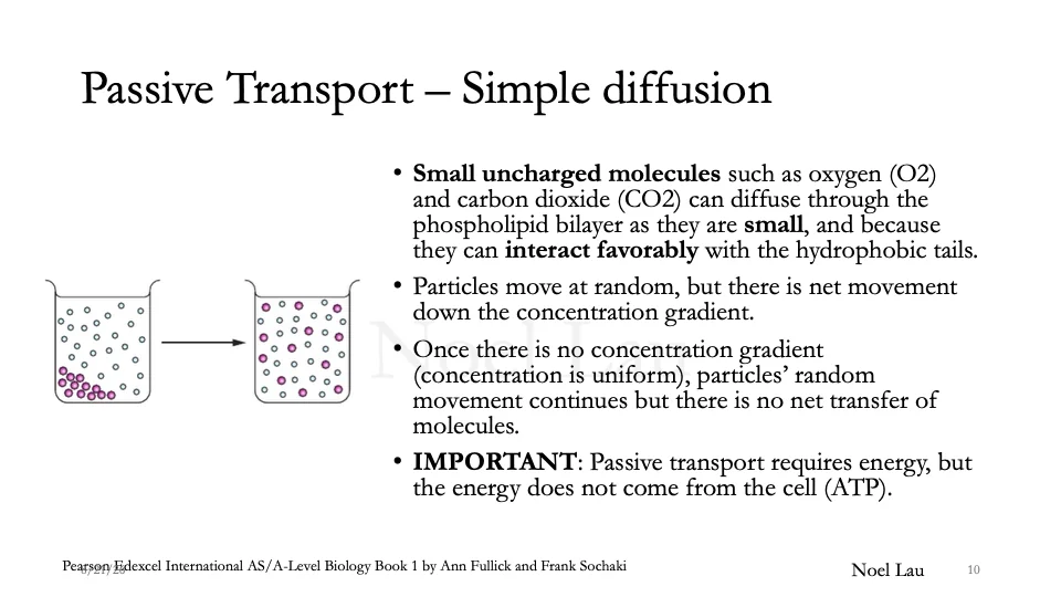 Slide 10