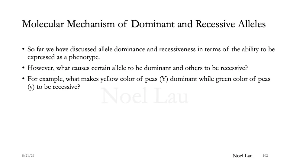 Slide 102