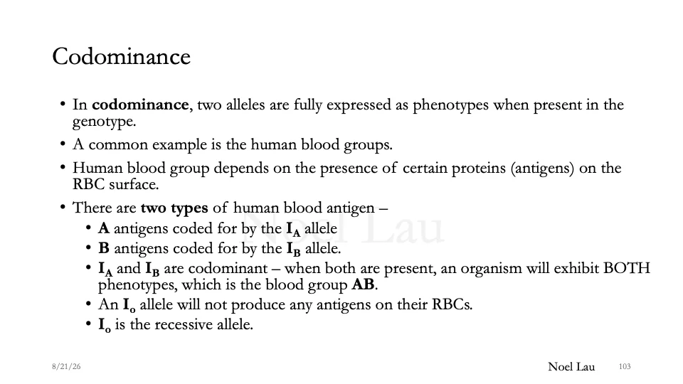 Slide 103