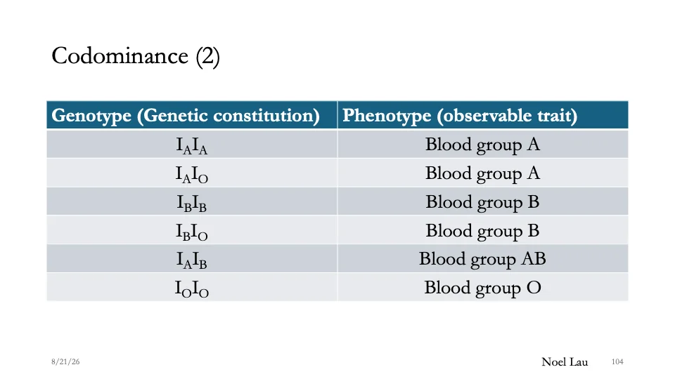 Slide 104