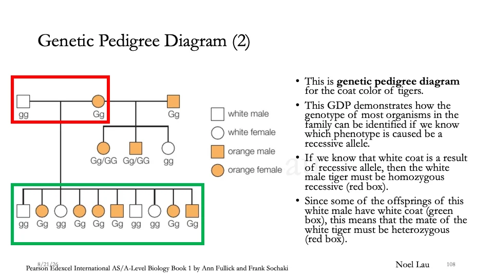 Slide 108