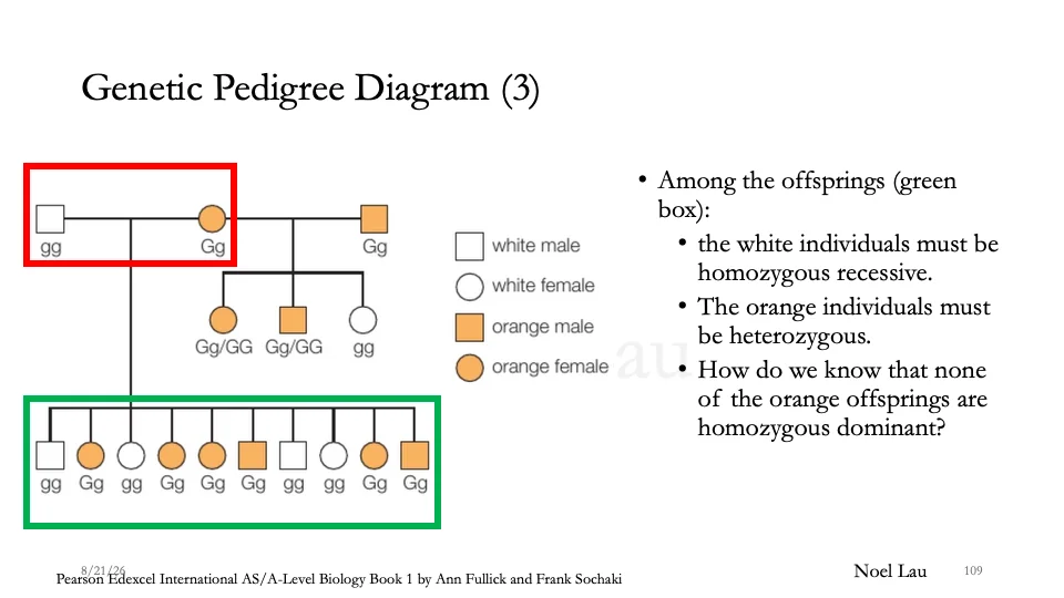 Slide 109
