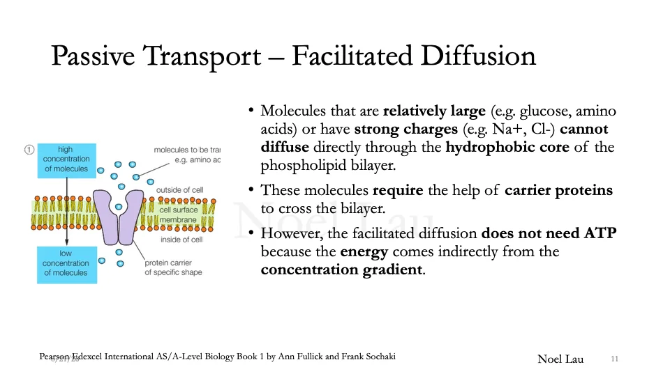 Slide 11