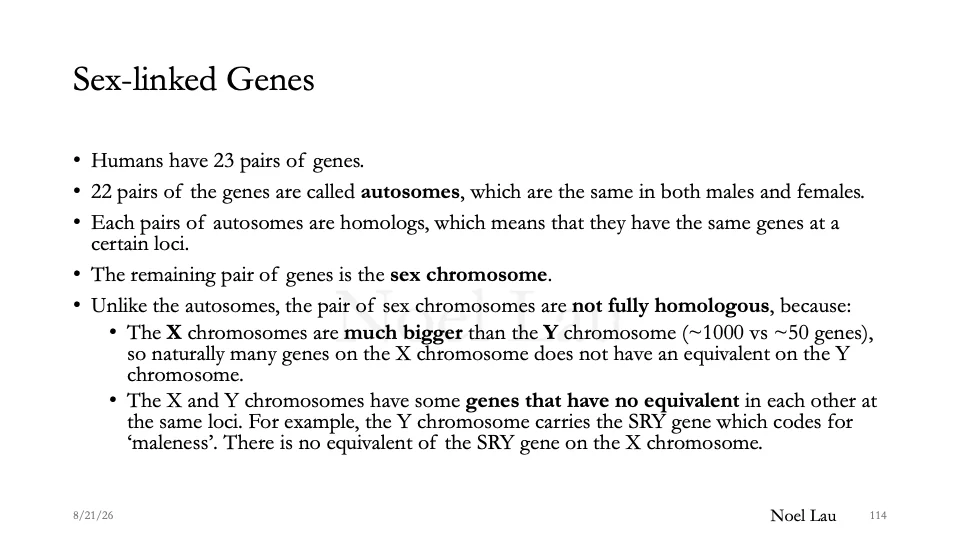 Slide 114
