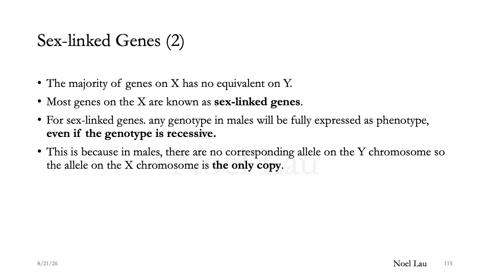Slide 115