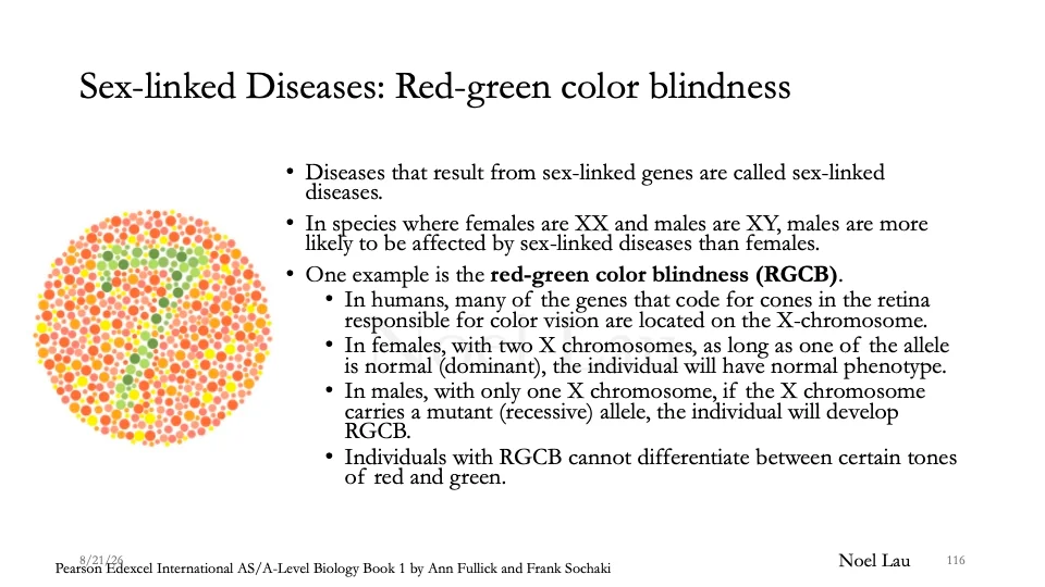 Slide 116