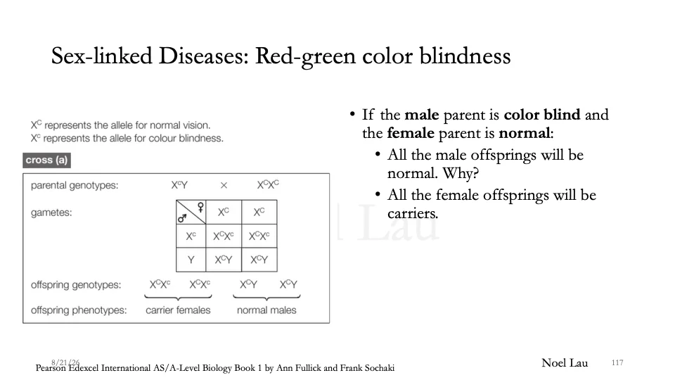 Slide 117