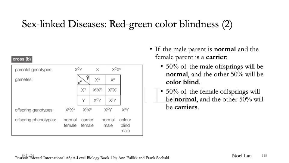 Slide 118