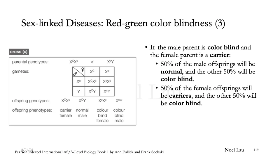 Slide 119